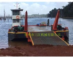 加蓬共和国客户定制的摆渡船